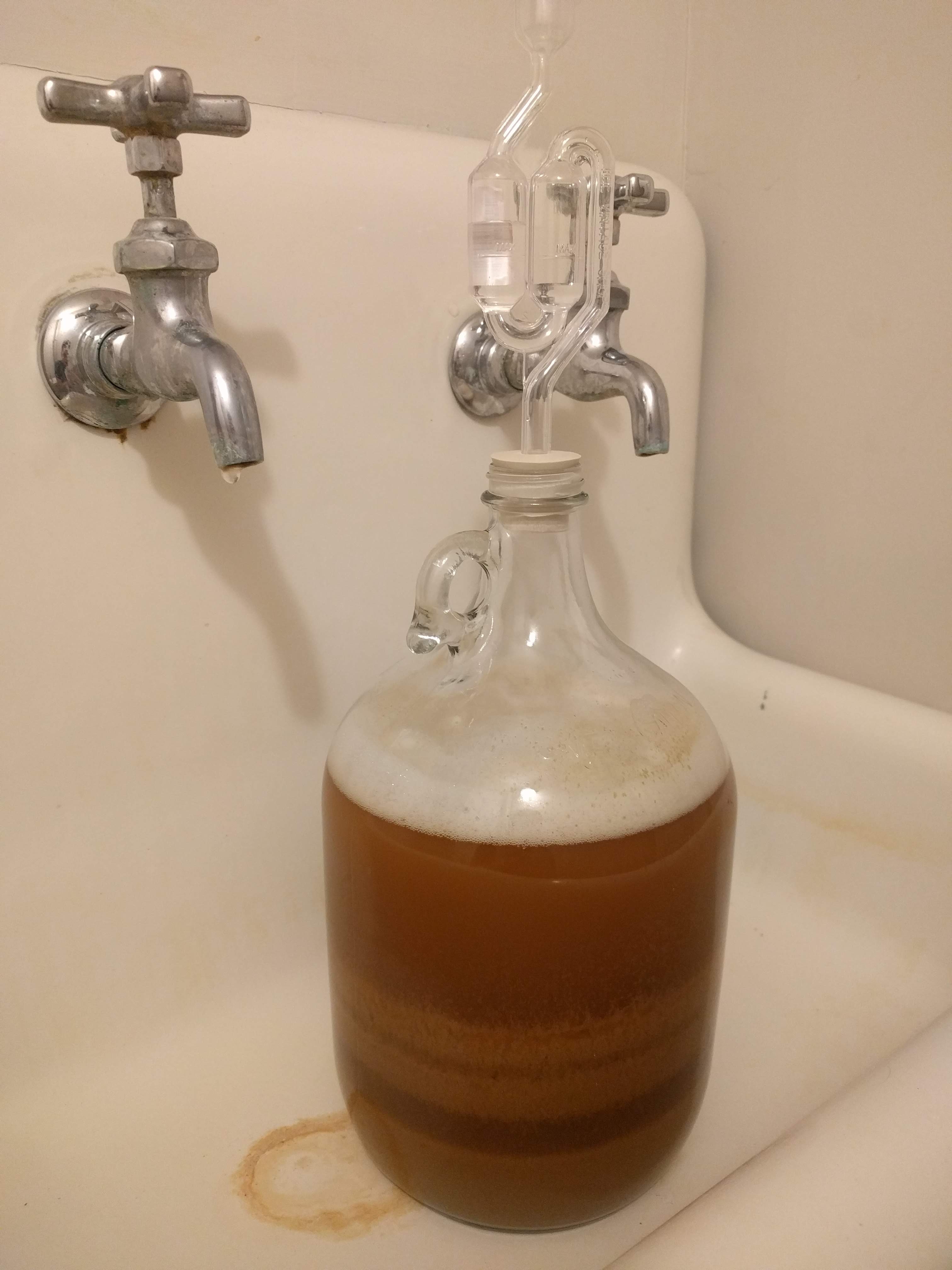 first homebrew fermenting